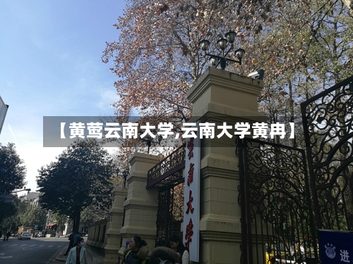 【黄莺云南大学,云南大学黄冉】-第2张图片