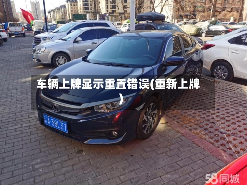 车辆上牌显示重置错误(重新上牌)