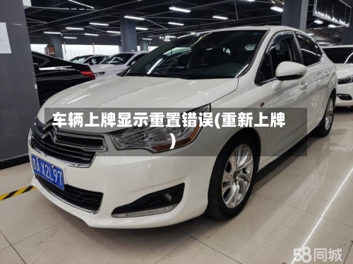 车辆上牌显示重置错误(重新上牌)-第3张图片