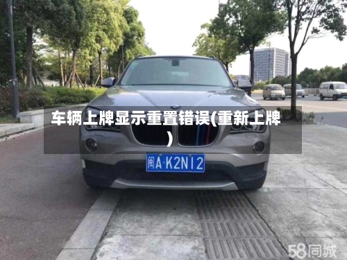 车辆上牌显示重置错误(重新上牌)-第2张图片