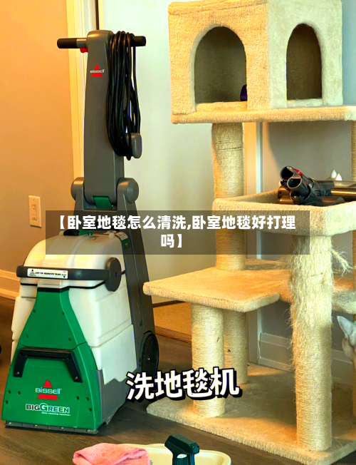 【卧室地毯怎么清洗,卧室地毯好打理吗】-第2张图片