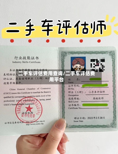 二手车评估费用查询/二手车评估费用平台
