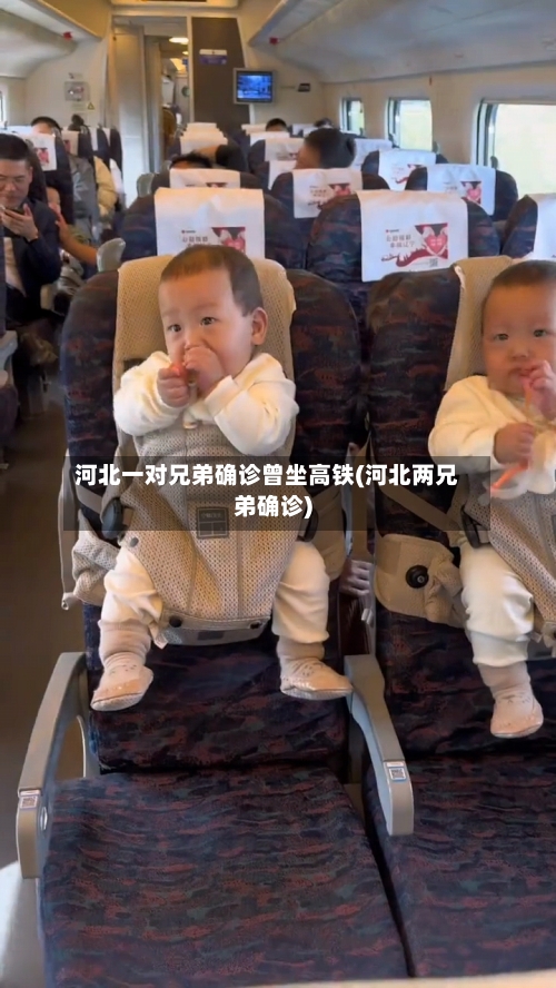 河北一对兄弟确诊曾坐高铁(河北两兄弟确诊)