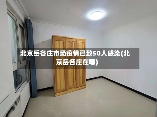 北京岳各庄市场疫情已致50人感染(北京岳各庄在哪)-第2张图片