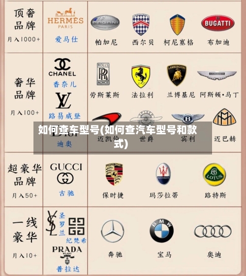 如何查车型号(如何查汽车型号和款式)-第2张图片