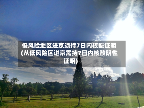 低风险地区进京须持7日内核酸证明(从低风险区进京需持7日内核酸阴性证明)-第2张图片