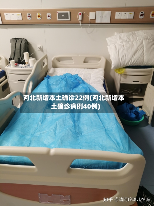 河北新增本土确诊22例(河北新增本土确诊病例40例)