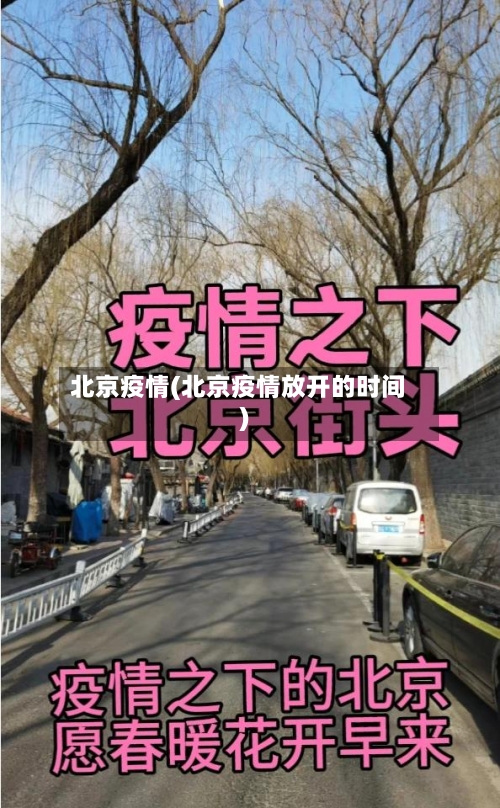 北京疫情(北京疫情放开的时间)