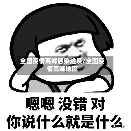 全国疫情高峰感染进度/全国疫情高峰地区