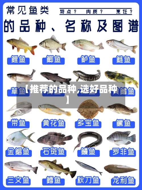 【推荐的品种,选好品种】