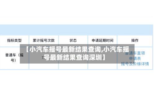 【小汽车摇号最新结果查询,小汽车摇号最新结果查询深圳】-第3张图片
