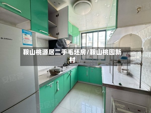 鞍山桃源居二手毛坯房/鞍山桃园新村-第2张图片