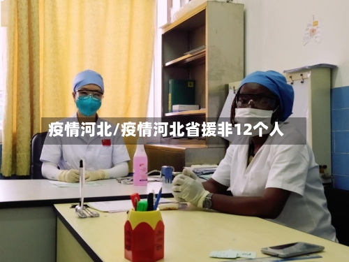 疫情河北/疫情河北省援非12个人-第2张图片