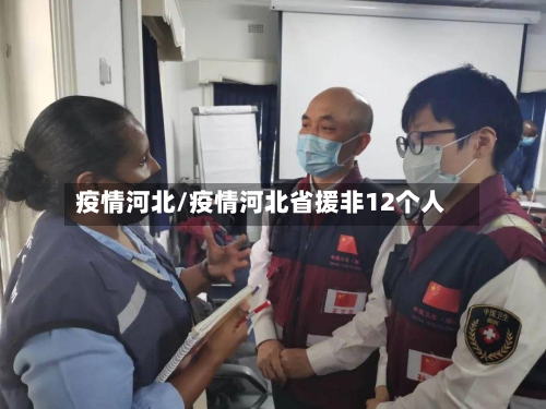 疫情河北/疫情河北省援非12个人