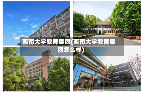 西南大学教育集团(西南大学教育集团怎么样)-第3张图片