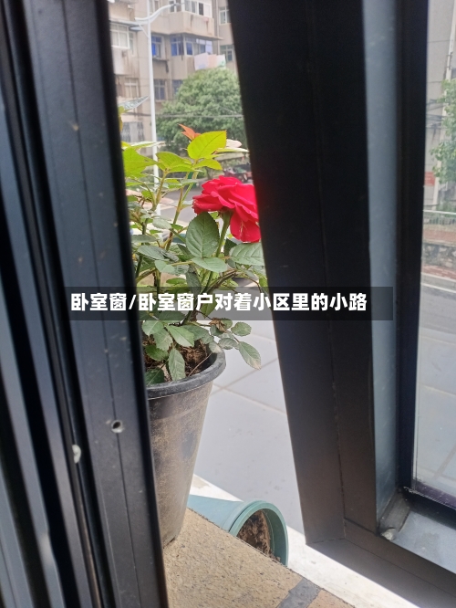 卧室窗/卧室窗户对着小区里的小路-第3张图片