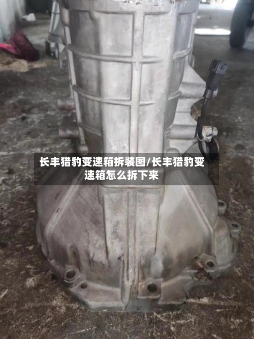 长丰猎豹变速箱拆装图/长丰猎豹变速箱怎么拆下来