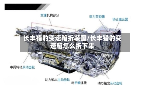 长丰猎豹变速箱拆装图/长丰猎豹变速箱怎么拆下来-第2张图片