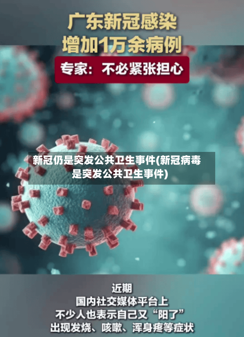 新冠仍是突发公共卫生事件(新冠病毒是突发公共卫生事件)-第2张图片