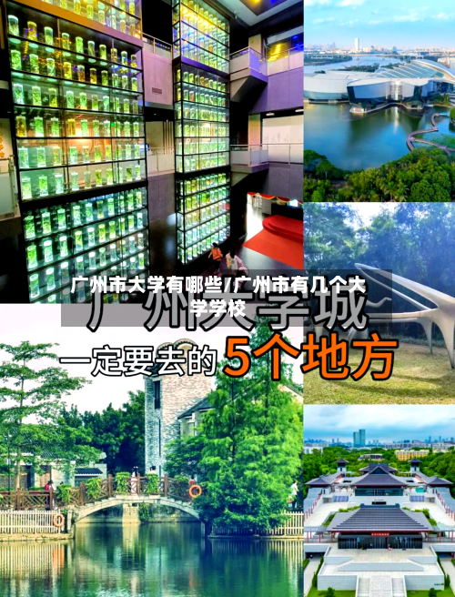 广州市大学有哪些/广州市有几个大学学校-第2张图片