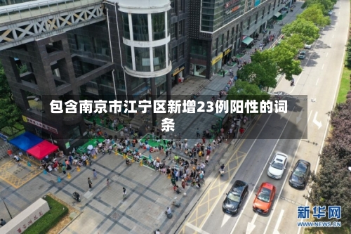 包含南京市江宁区新增23例阳性的词条