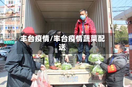 丰台疫情/丰台疫情蔬菜配送-第3张图片