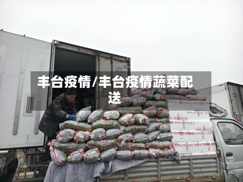 丰台疫情/丰台疫情蔬菜配送-第2张图片