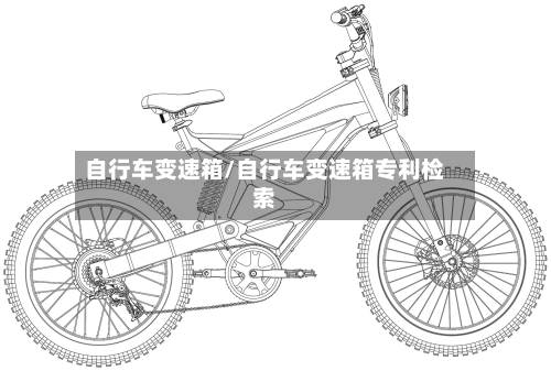 自行车变速箱/自行车变速箱专利检索-第2张图片