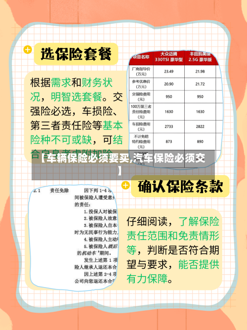 【车辆保险必须要买,汽车保险必须交】-第2张图片
