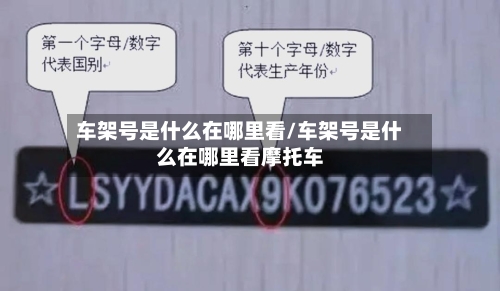 车架号是什么在哪里看/车架号是什么在哪里看摩托车-第2张图片