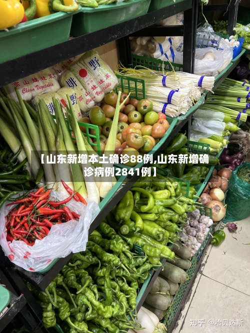 【山东新增本土确诊88例,山东新增确诊病例2841例】-第3张图片