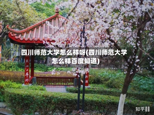 四川师范大学怎么样呀(四川师范大学怎么样百度知道)-第2张图片
