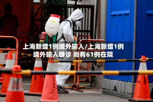 上海新增1例境外输入/上海新增1例境外输入确诊 尚有61例在院-第2张图片