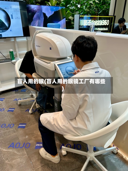 盲人用的眼(盲人用的眼镜工厂有哪些)