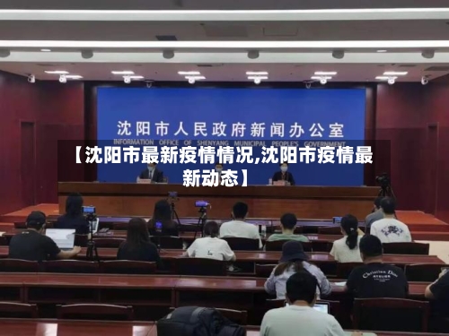 【沈阳市最新疫情情况,沈阳市疫情最新动态】-第3张图片