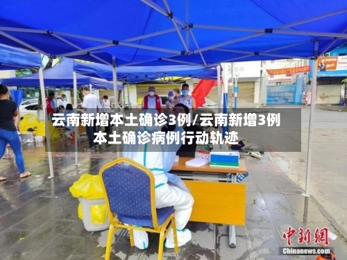 云南新增本土确诊3例/云南新增3例本土确诊病例行动轨迹-第2张图片
