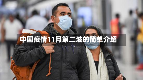 中国疫情11月第二波的简单介绍-第2张图片