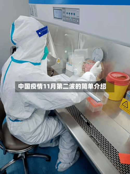中国疫情11月第二波的简单介绍