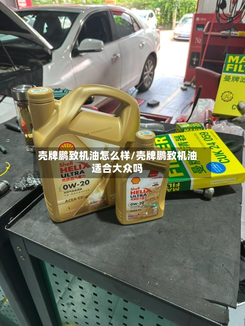 壳牌鹏致机油怎么样/壳牌鹏致机油适合大众吗