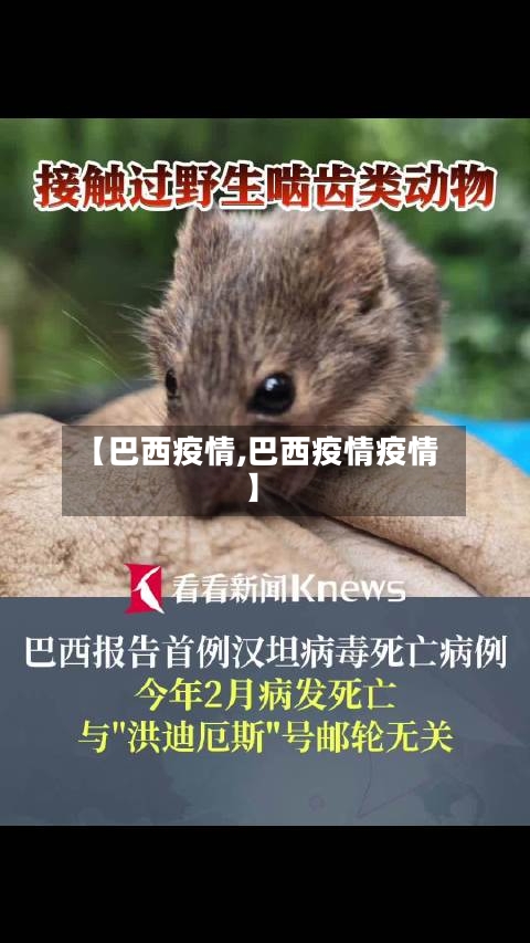 【巴西疫情,巴西疫情疫情】-第2张图片