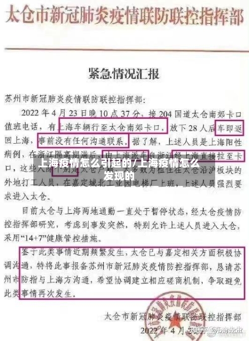 上海疫情怎么引起的/上海疫情怎么发现的