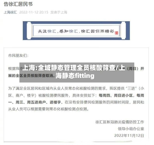 上海:全域静态管理全员核酸筛查/上海静态fitting-第3张图片
