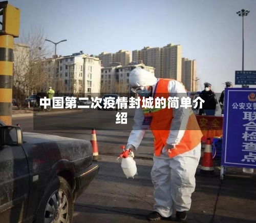 中国第二次疫情封城的简单介绍