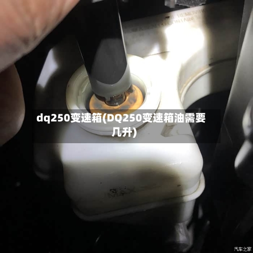 dq250变速箱(DQ250变速箱油需要几升)