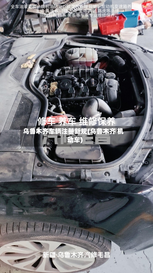 乌鲁木齐车辆注册新规(乌鲁木齐 机动车)-第2张图片