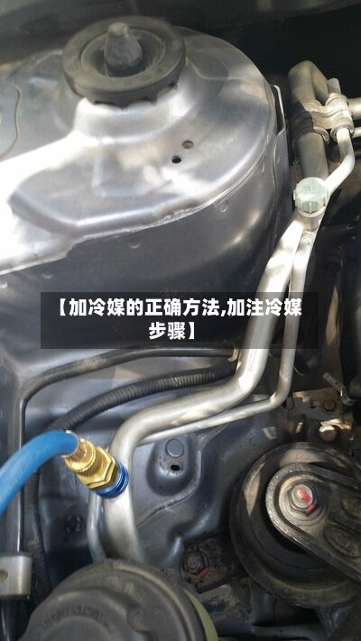 【加冷媒的正确方法,加注冷媒步骤】