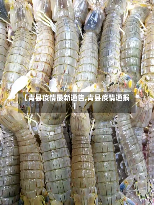【青县疫情最新通告,青县疫情通报】-第3张图片