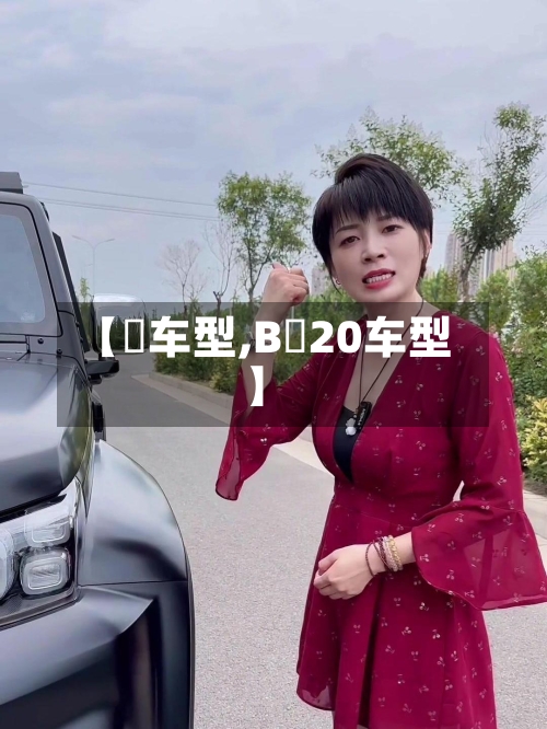 【乚车型,B乚20车型】