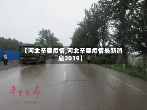 【河北辛集疫情,河北辛集疫情最新消息2019】-第2张图片