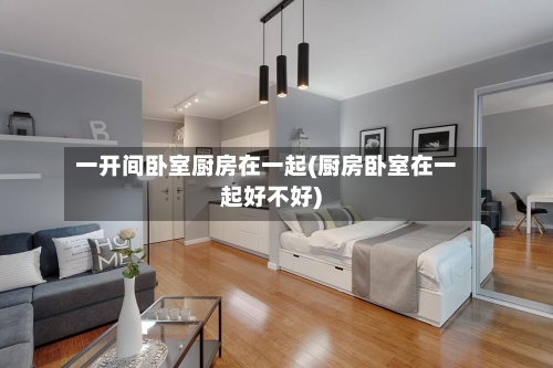一开间卧室厨房在一起(厨房卧室在一起好不好)